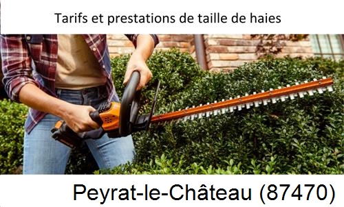 taille de haies Peyrat-le-Château-87470