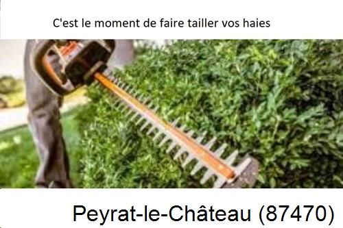 Entreprise de paysage Peyrat-le-Château-87470