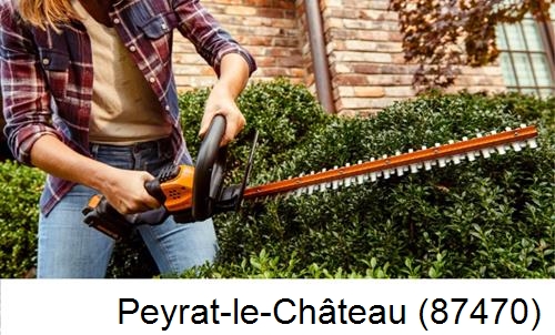 entretien jardin par paysagiste Peyrat-le-Château-87470