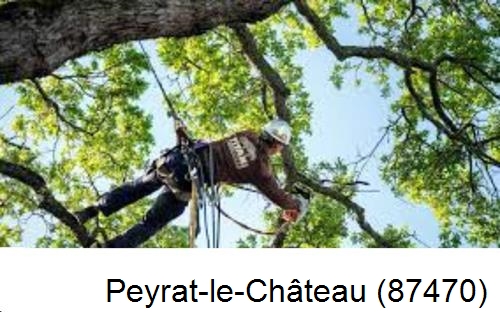 Abattage d'arbres chez un particulier Peyrat-le-Château-87470