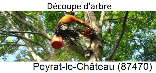 Entreprise du paysage Peyrat-le-Château-87470