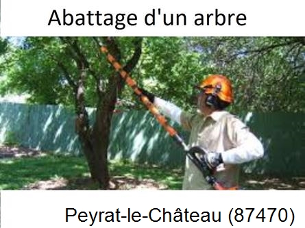 Etêtage et abattage d'un arbre Peyrat-le-Château-87470