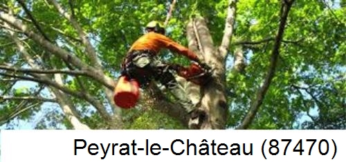 Entreprise du paysage Peyrat-le-Château-87470