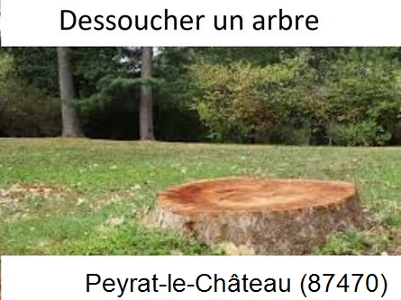 Travaux d'entretien extérieur Peyrat-le-Château-87470