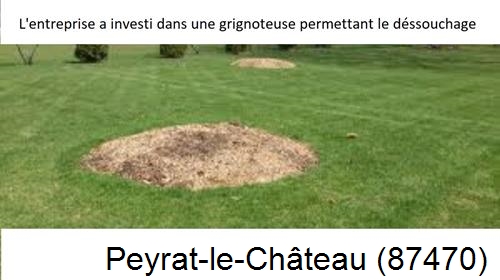 Artisan pour déssouchage d'arbres Peyrat-le-Château-87470