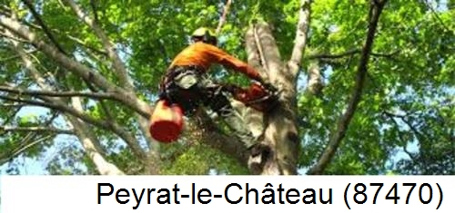 Déssouchage, étêtage d'arbres Peyrat-le-Château-87470