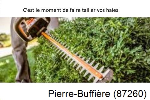 Entreprise de paysage Pierre-Buffière-87260