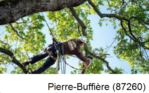 Abattage d'arbres chez un particulier Pierre-Buffière-87260