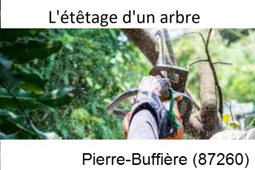 Artisan Abatteur d'arbres Pierre-Buffière-87260