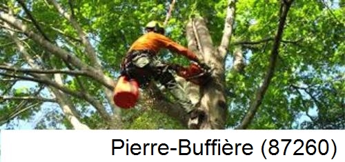 Entreprise du paysage Pierre-Buffière-87260