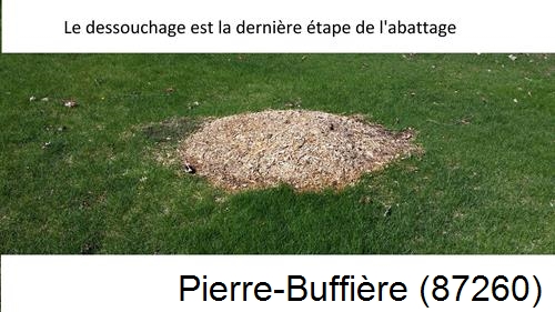 déssouchage d'arbres Pierre-Buffière-87260