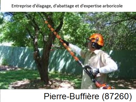 Coupe tête d'arbres Pierre-Buffière-87260