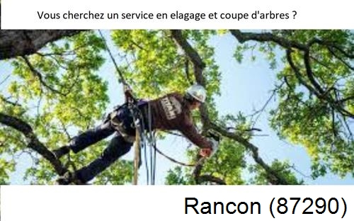Etêtage d'arbres à Rancon-87290
