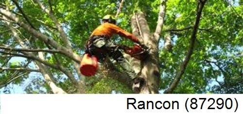 Déssouchage, étêtage d'arbres Rancon-87290