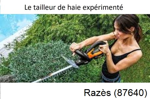 entretien jardin à Razès-87640