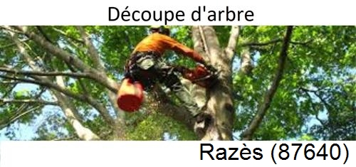 Entreprise du paysage Razès-87640