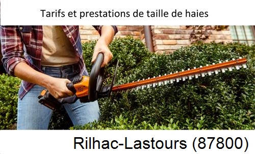 taille de haies Rilhac-Lastours-87800