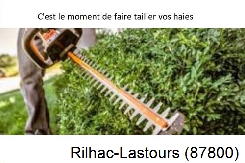 Entreprise de paysage Rilhac-Lastours-87800