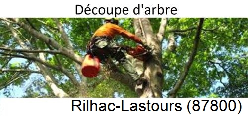 Entreprise du paysage Rilhac-Lastours-87800