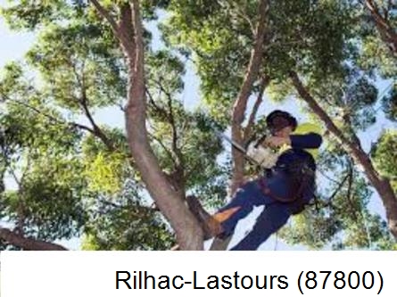 Elagueur à Rilhac-Lastours-87800