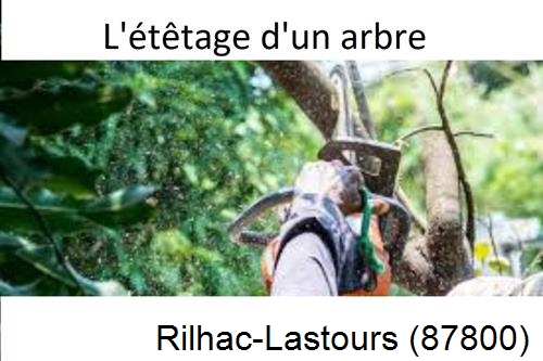 Artisan Abatteur d'arbres Rilhac-Lastours-87800