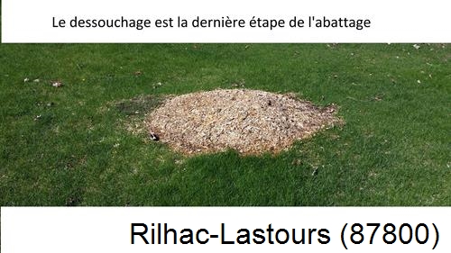déssouchage d'arbres Rilhac-Lastours-87800