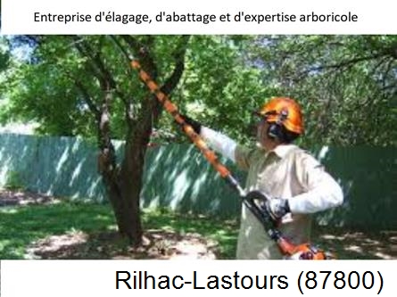 Coupe tête d'arbres Rilhac-Lastours-87800