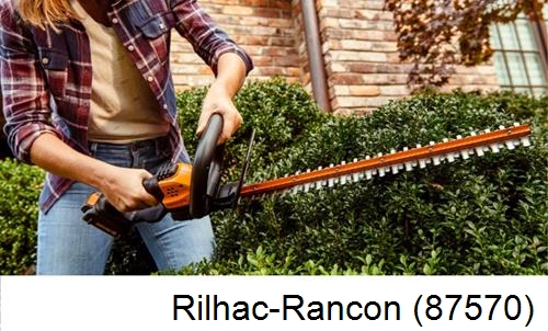 entretien jardin par paysagiste Rilhac-Rancon-87570