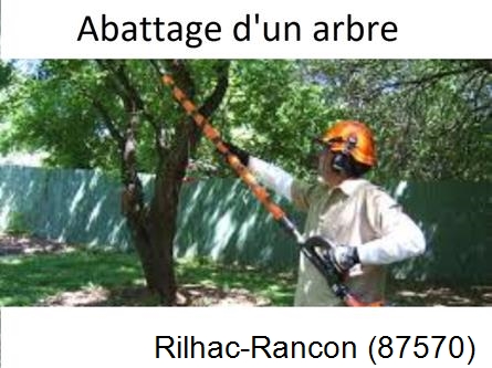 Etêtage et abattage d'un arbre Rilhac-Rancon-87570