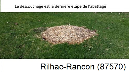 déssouchage d'arbres Rilhac-Rancon-87570