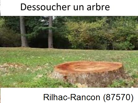 Travaux d'entretien extérieur Rilhac-Rancon-87570