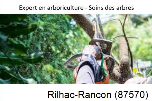Elagage en sécurité à Rilhac-Rancon-87570