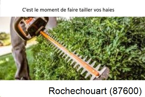 Entreprise de paysage Rochechouart-87600