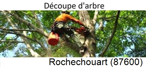 Entreprise du paysage Rochechouart-87600