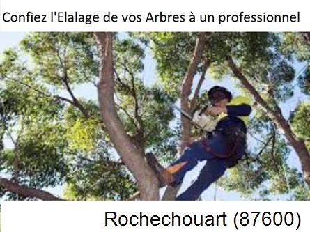 Société d'élagage à Rochechouart-87600