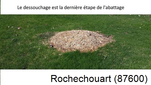 déssouchage d'arbres Rochechouart-87600