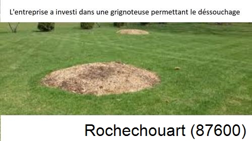 Artisan pour déssouchage d'arbres Rochechouart-87600