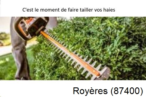 Entreprise de paysage Royères-87400