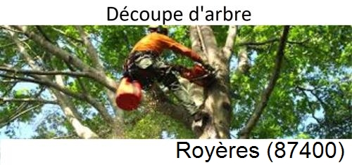 Entreprise du paysage Royères-87400