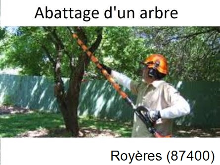 Etêtage et abattage d'un arbre Royères-87400