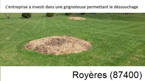 Artisan pour déssouchage d'arbres Royères-87400