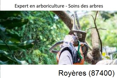 Elagage en sécurité à Royères-87400