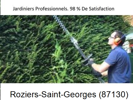 Paysagiste Roziers-Saint-Georges-87130