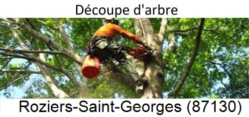 Entreprise du paysage Roziers-Saint-Georges-87130