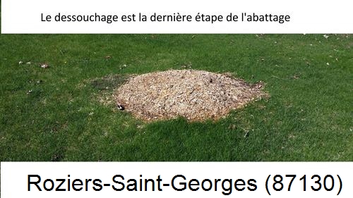 déssouchage d'arbres Roziers-Saint-Georges-87130