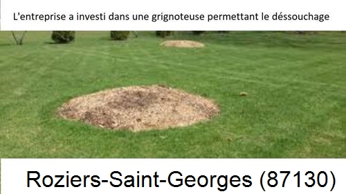Artisan pour déssouchage d'arbres Roziers-Saint-Georges-87130