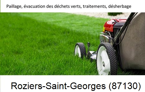 Entreprise de paysage pour entretien de jardin Saillat-sur-Vienne-87720