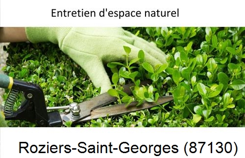 Rénovation jardin particulier Saillat-sur-Vienne-87720