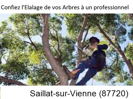Société d'élagage à Saillat-sur-Vienne-87720