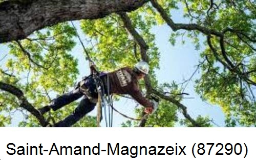 Abattage d'arbres chez un particulier Saint-Amand-Magnazeix-87290